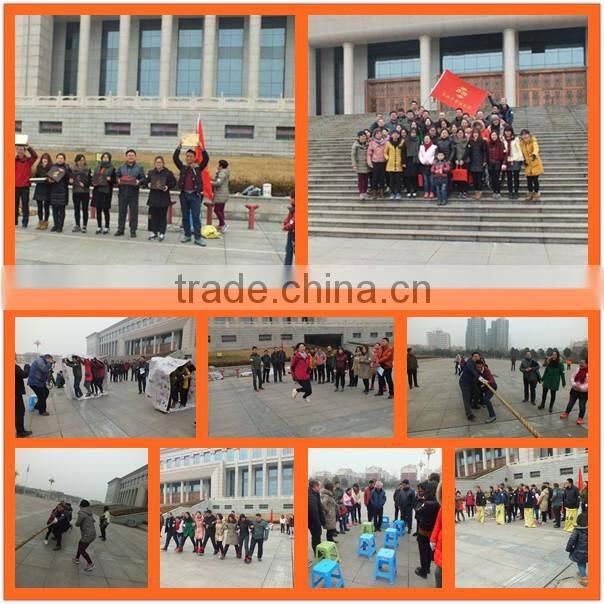 Italy ceramic glaze dinnerware set 16 pcs