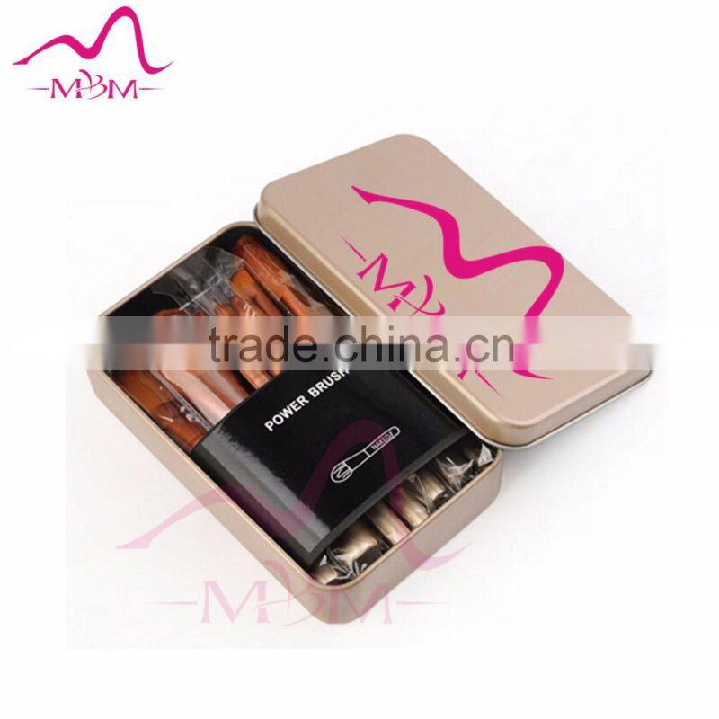 2017 new style 12pcs makeup brush for cosmetic with steel box