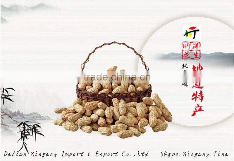 25/29 41/51 blanched peanut kernel/peanuts red skin/blanched peanuts kernels