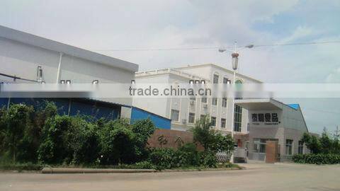 preserved/dried kiwifruit, dried kiwi slice-100ppm max,18-22% moisture