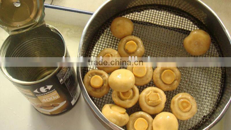 Canned Water Chestnuts in Water
