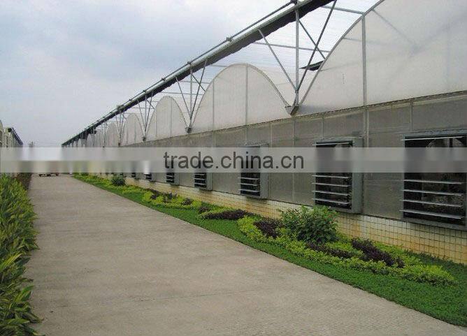 Industry Centrifugal push-pull type exhaust fan/CE