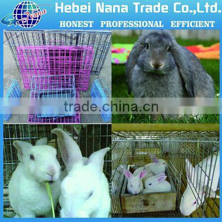 Australia hot sale gate designs with galvanize sheet / metal fence gate