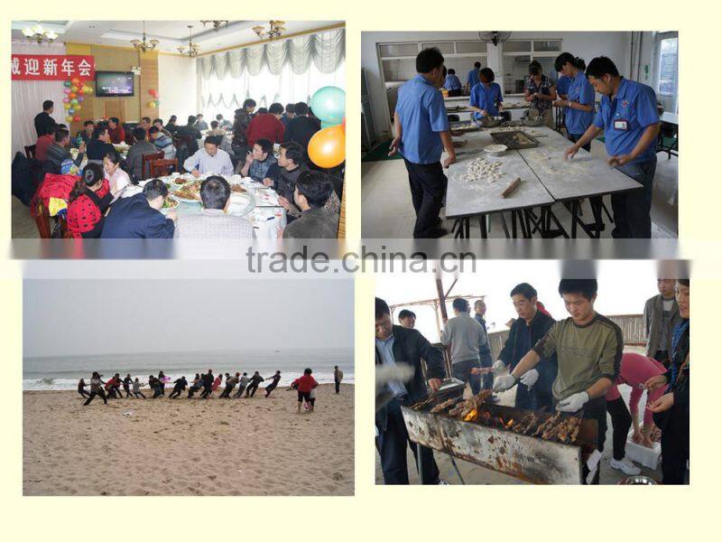 tractor loader hydrualic cylinder for farm machinery