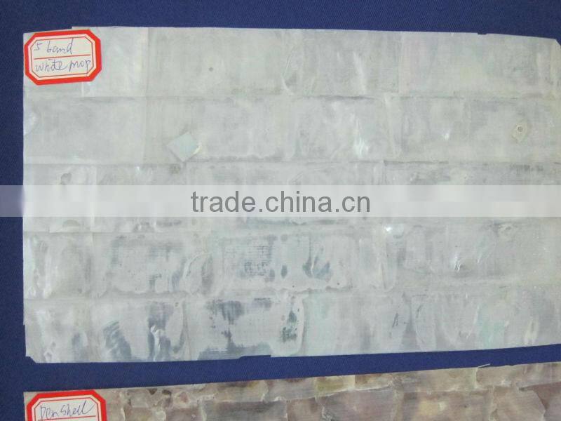 white lip mother of pearl shell veneer