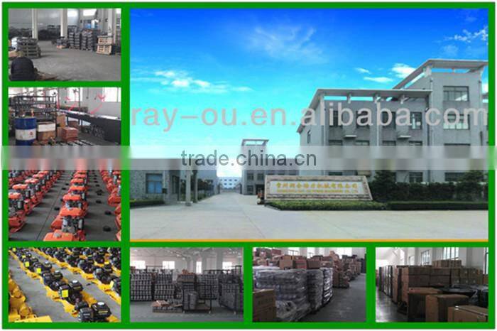 Factory Direct Sale High Efficiency Light Weight Portable Concrete Vibrator With Robin Engine