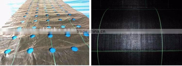 Vegetable growing plastic weed block matting