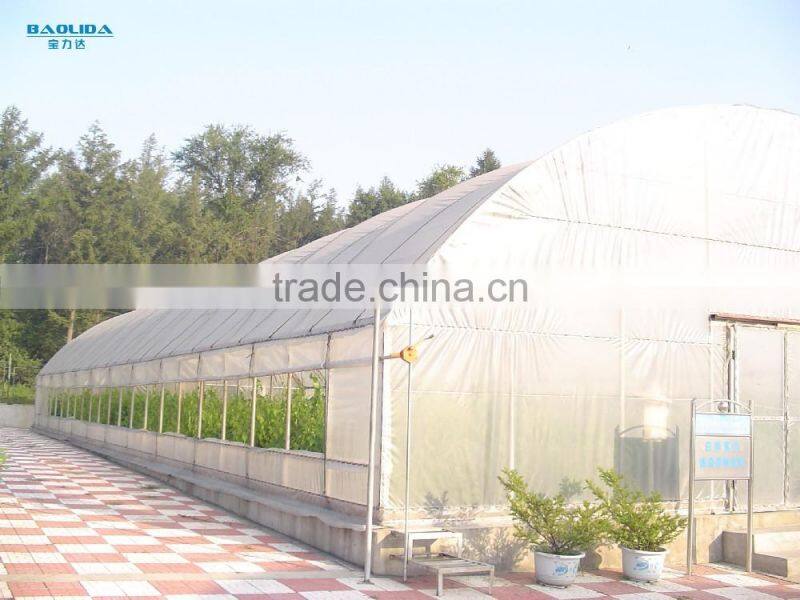 low cost polythene film vegetable greenhouse with sun shading