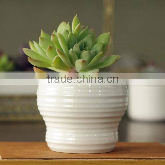 Indoor mini glazed white pottery planter for succulent