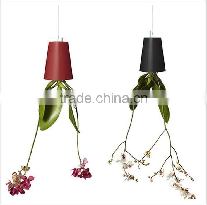 Plastic Sky Planter Creative Decorative Home Mini Sky Garden Flower Pot Beauty Sky Planter