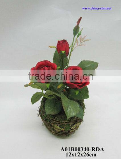 potted roses