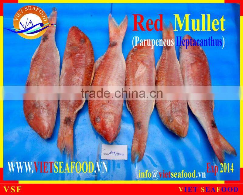 FROZEN W/R RED MULLET