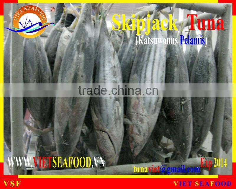 FROZEN W/R SKIPJACK TUNA