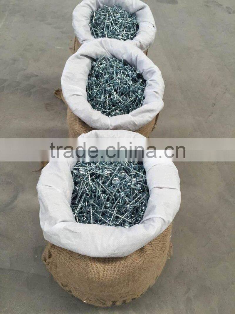 best price best quality for roofing nails