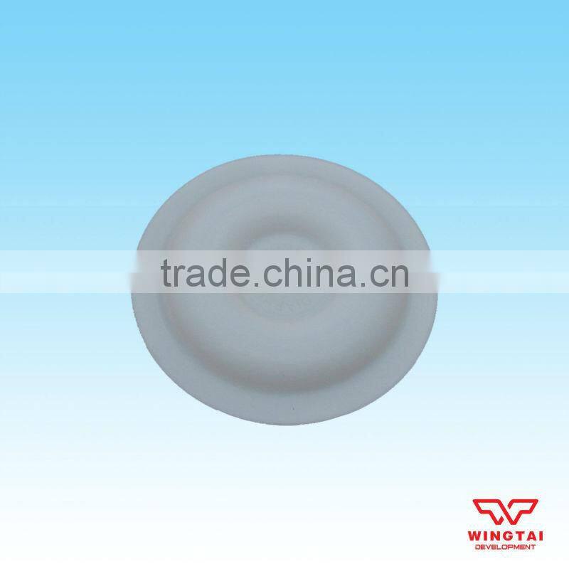 BML-10 PTFE Diaphragm Pump Flake