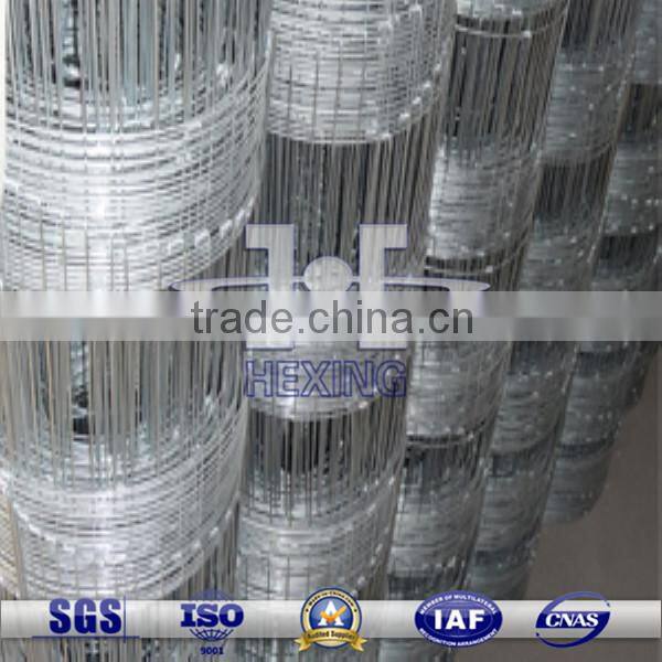 Galvanized Farm Fence/Grassland Fence from Anping Factory