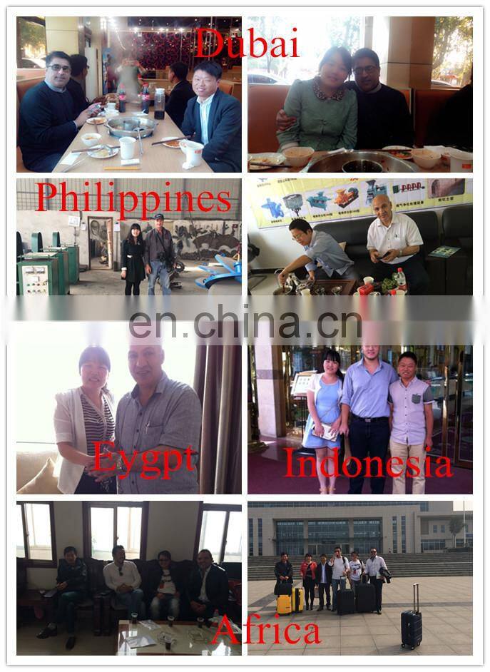 birch oak palm sawdust Wood briket machine made in China