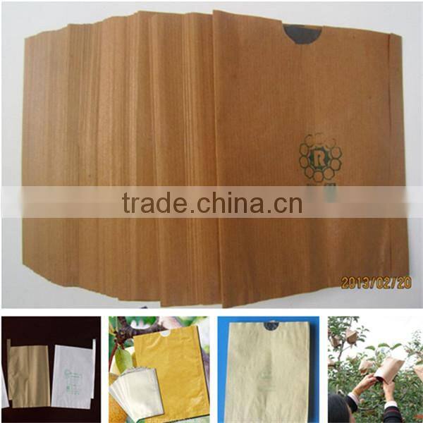 Hot selling apple growing paper bag
