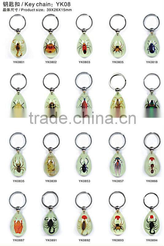 Wholesale Real starfish key chain rings