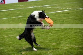 Ningbo Ninghai Cheap Plastic Firsbee/Soft Plastic Frisbee