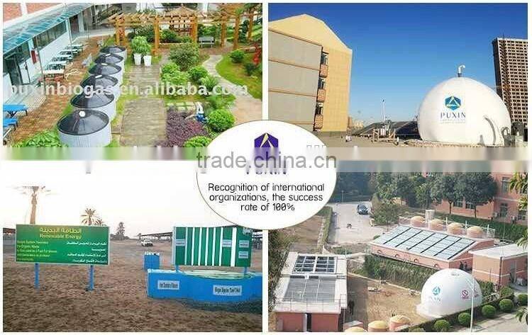 stainless steel portable biogas stove cooking equipment