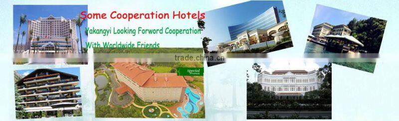 Wholesale White Cotton Silk Pillow For Hotel