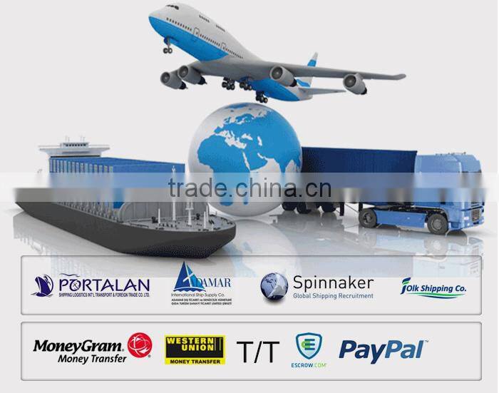 E320B 1R-0739 2P4004 4429729 Filter Oil Filter for Diesel Engine