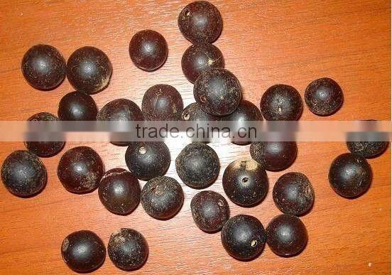 Huayruru Pure Red Natural Loose Seed Beads