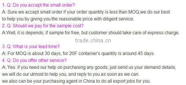 color lady plastic custom sunglasses wholesale