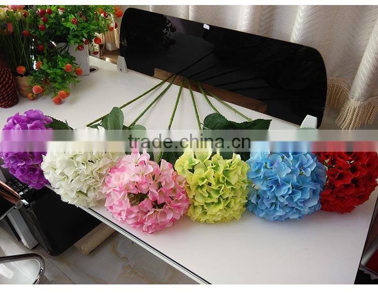White House plants Hydrangea for wedding