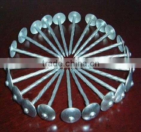 umbrella head galvanized roofing screw nail