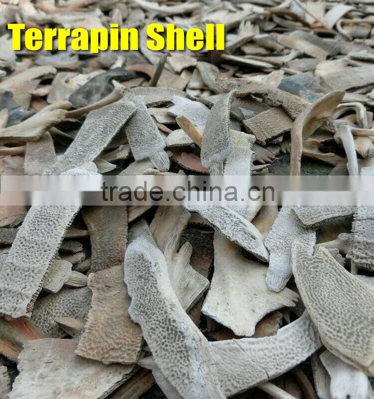 Natural Premium kg ODM OEM Trionyx shell personal care powder