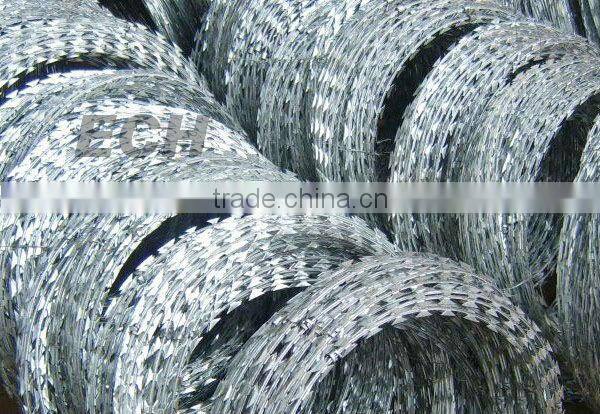 ECH galvanized razor barbed wire
