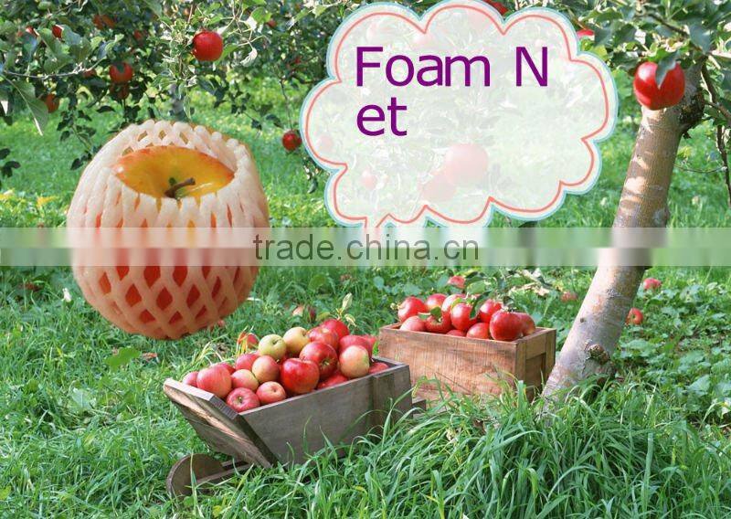 foam mesh for fruit