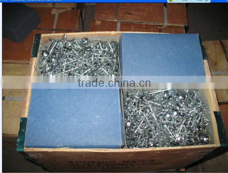 Electro Galvanized Common Round Iron Nails