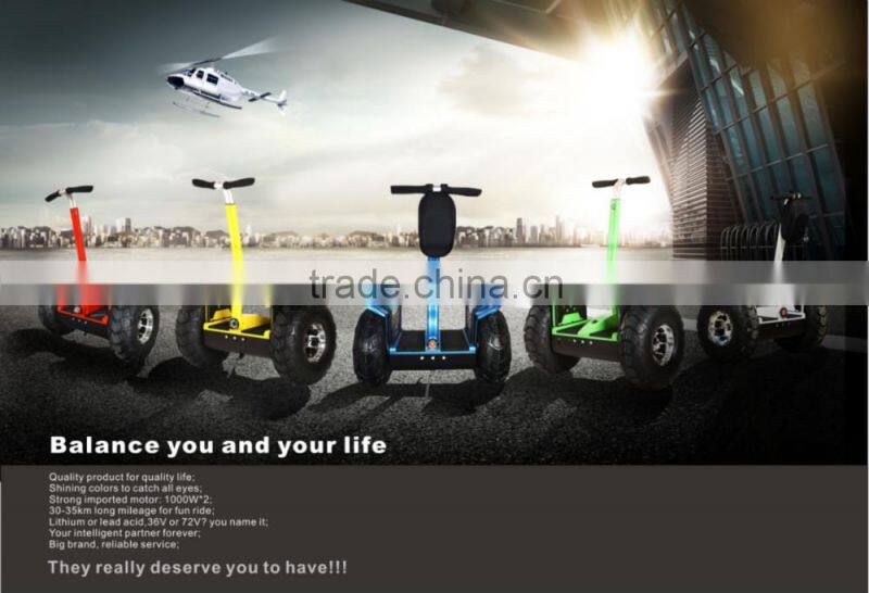 Professional Street Pro Reliable Self Balance Two Wheeled Stunt Scooter with CE