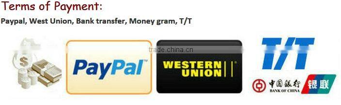 High Quality CCFL Angel Eyes with Two CCFL Inverters, Low Price Automobiles Accessory for F ocus 05