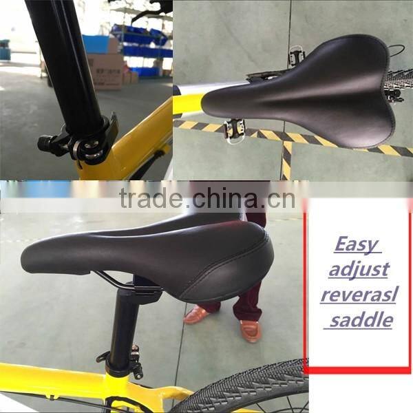 36V 10Ah MTB Electric bike with brushless motor