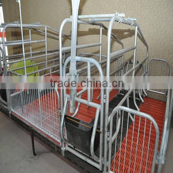 automatic piggery farming equipment