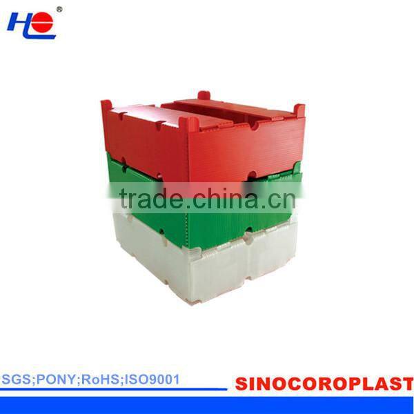 Customized Corrugated Plastic Fruit Crate