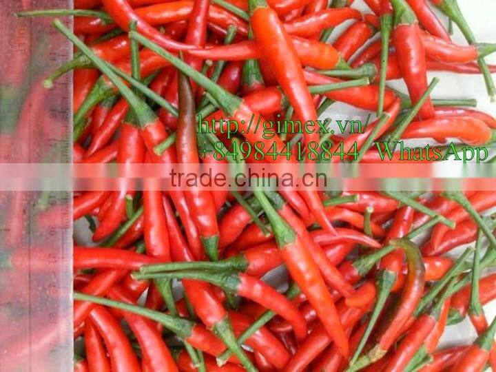 VIETNAM HOT PEPPER CHILLI +84963818434 whatsapp