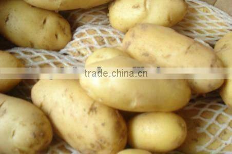fresh potatoes with woven mesh in carton