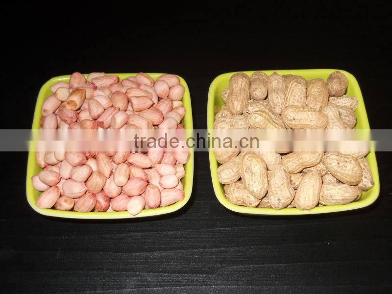 80/90 JAVA PEANUT KERNEL