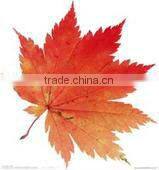 Lowest price!! wire cutting stripping and crimping machine