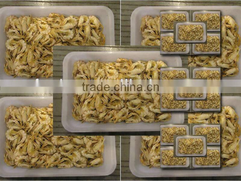 Blacktiger Prawns popular sale season