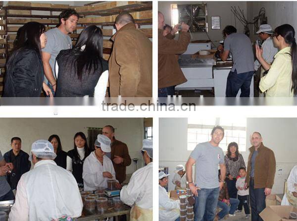 packets food lizard dried silkworm chow