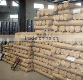 Hexagonal Wire Netting