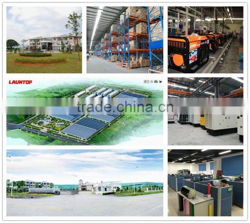 13HP LT390 mini 300cc 4 stroke engine