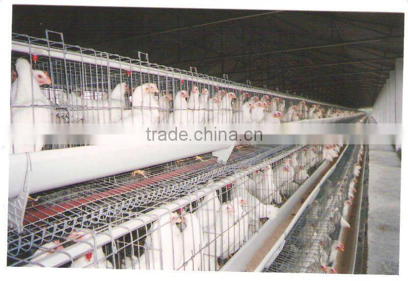 Poultry Cages
