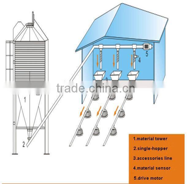 Thermal insulation sandwich panel broiler chicken shed